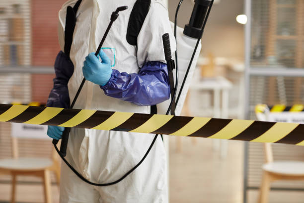 Professional Sewage Cleanup technician working in Milford, UT